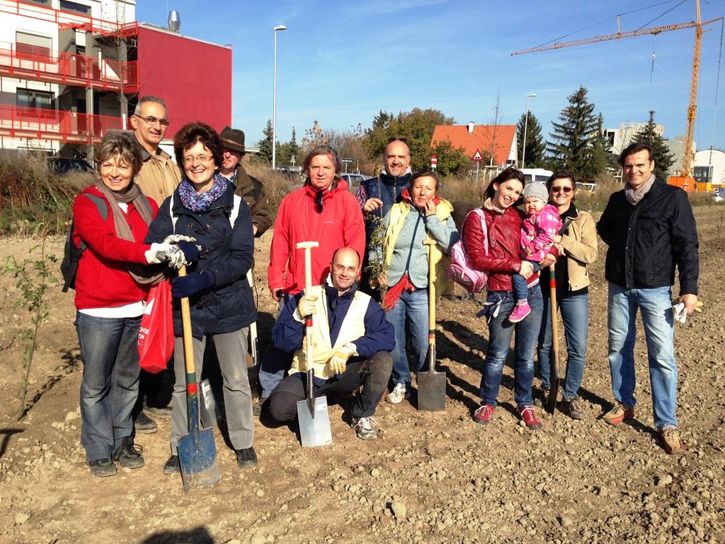 Tree planting in Vienna, 2013